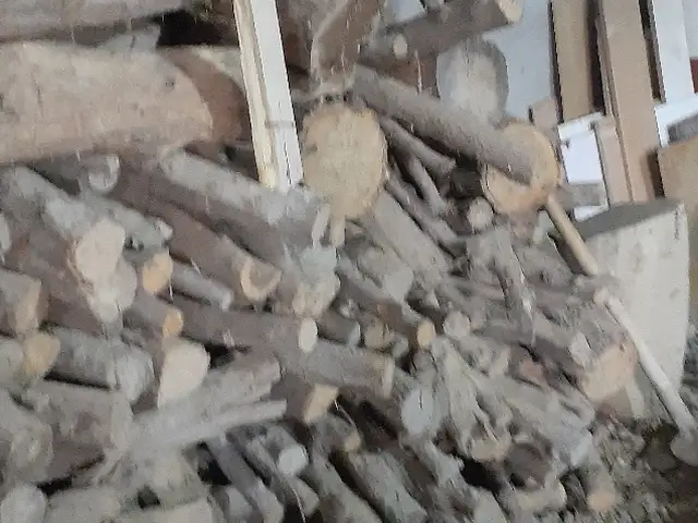 Дрова, Худжанд
