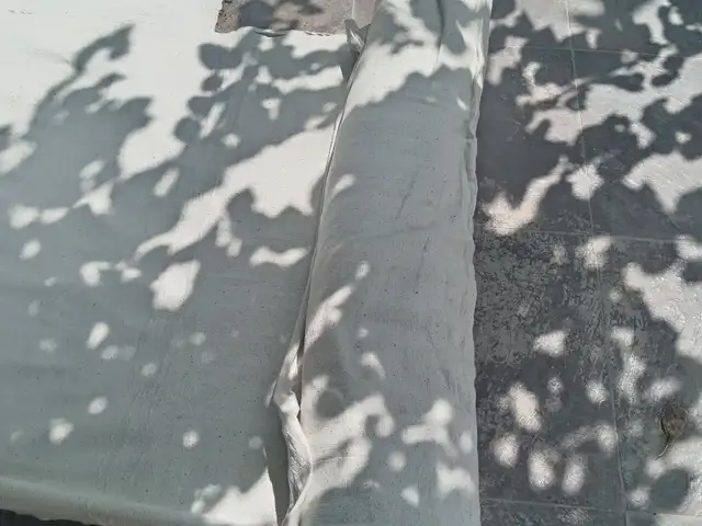 Тухми газон, Душанбе - 6