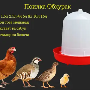 Обхурак/Поилкаи мурғу чуҷа кабк бройлер, Душанбе