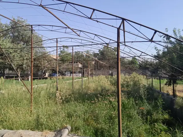 Теплица, Душанбе