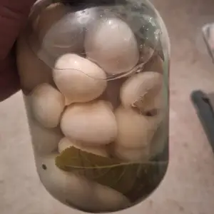 Пиёзи Анзур, Ёвон