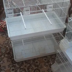 Кафас, Худжанд