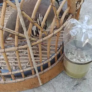 Кавки Помири, Душанбе