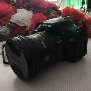 Фотоаппарат Canon 600d, Джалолиддин Балхи (Руми)