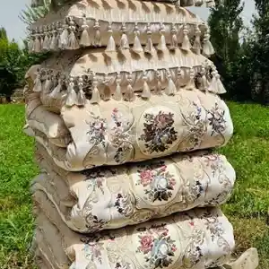Курпача болишт, Душанбе