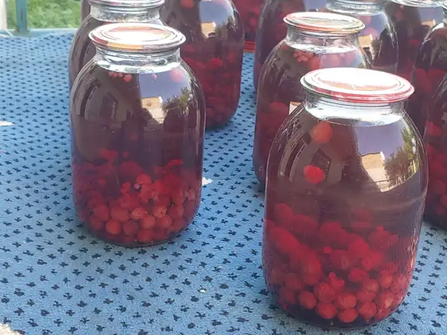 Кампоти олуча ва олу, Хуҷанд