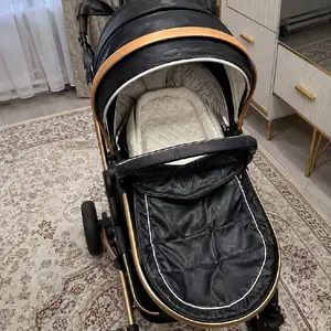 Коляска, Душанбе