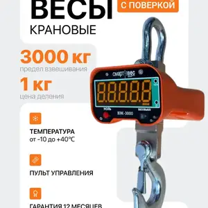 Крановые весы, Душанбе