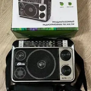 Радиоприемник Ritmix RPR-202, Душанбе