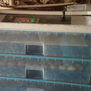 Инкубатор для яиц 300, Бободжон Гафуров
