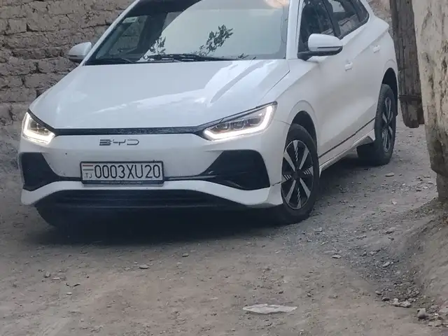 BYD B2