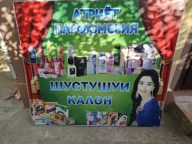 Баннер, Душанбе