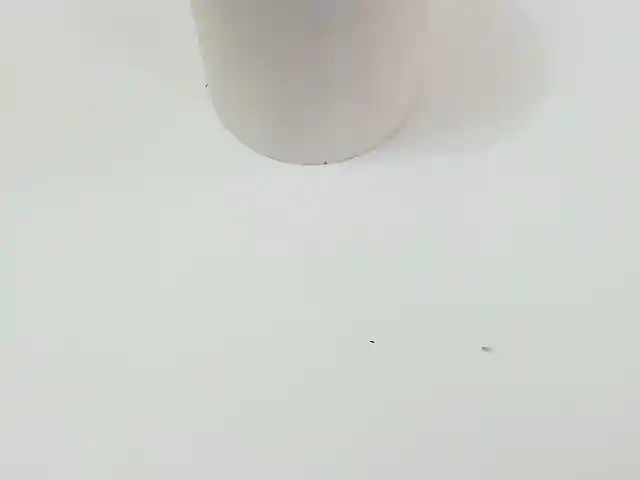 Лента для кассовых аппаратов, Душанбе