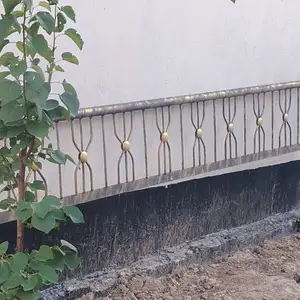 Каркас Тапчана, Душанбе