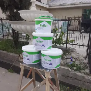 Шпакилевка, Душанбе