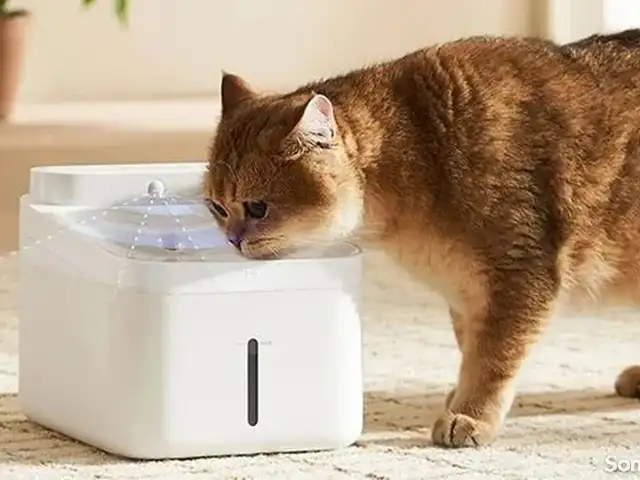 Умная поилка для животных от Xiaomi Pet Water Dispenser 2, Душанбе