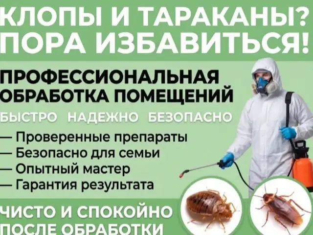 Уничтожение клопов, тараканов и других насекомых в Душанбе, Душанбе