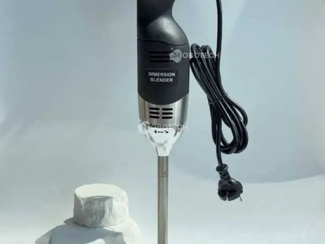 Блендер погружной, Душанбе
