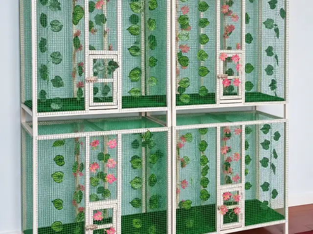 Кафас барои парранда, Турсунзаде