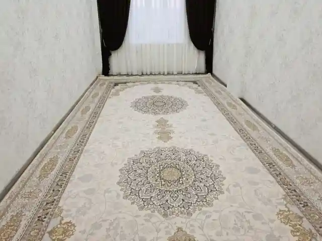 Колин, Душанбе