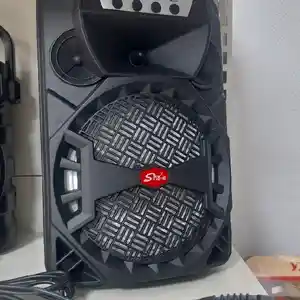 Колонка с микрофоном, Душанбе