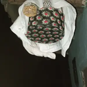 Бедона, Душанбе