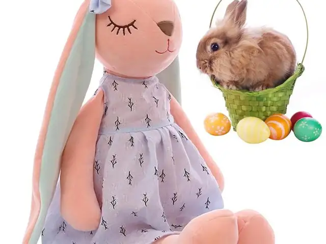 Зайка сплюшка, Душанбе