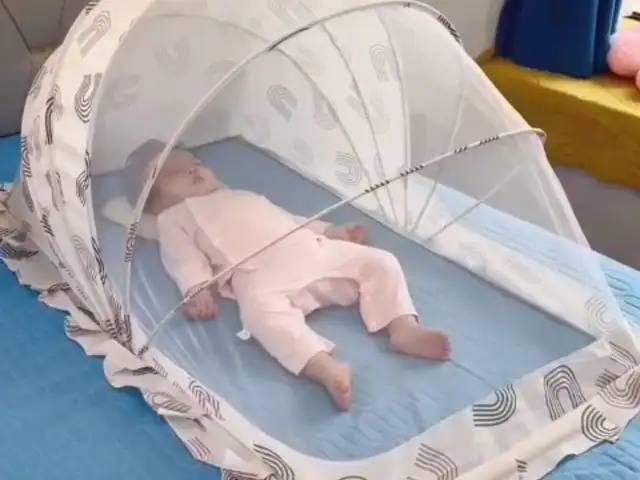 Сетка для комаров, Худжанд