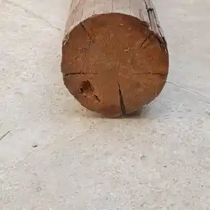 Брусья, Душанбе