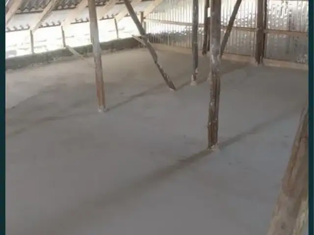 Палестра ломбоз, Канибадам