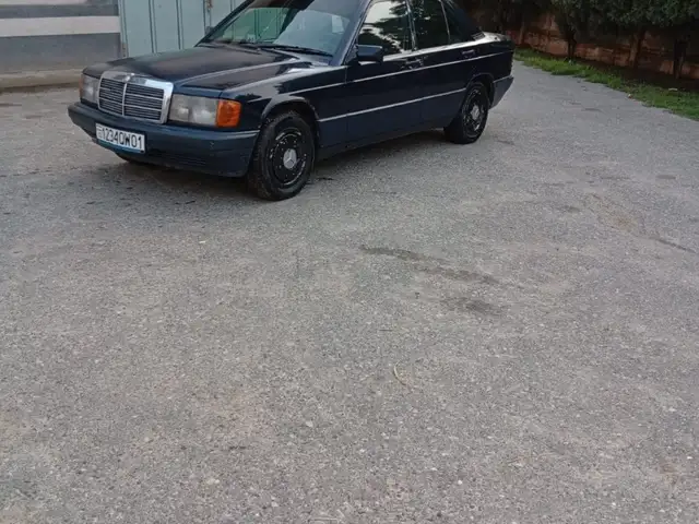 Mercedes-Benz W201