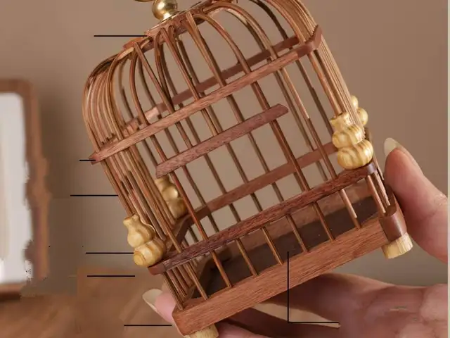 Клетка для маленьких птиц, Душанбе