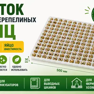 Ячейкаи 221тагаи тухми бедона барои инкубатор, Душанбе