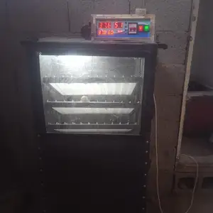Инкубатор, Душанбе