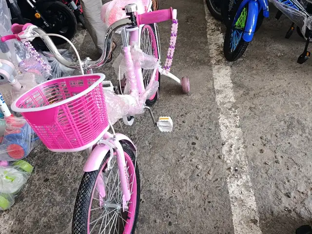 Велосипед Барс, Душанбе