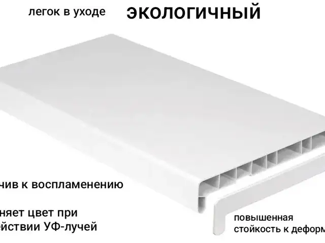 Падаконник Белый, Худжанд