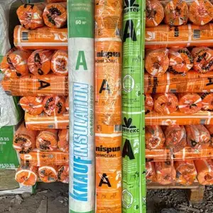 Параизольяция, Душанбе