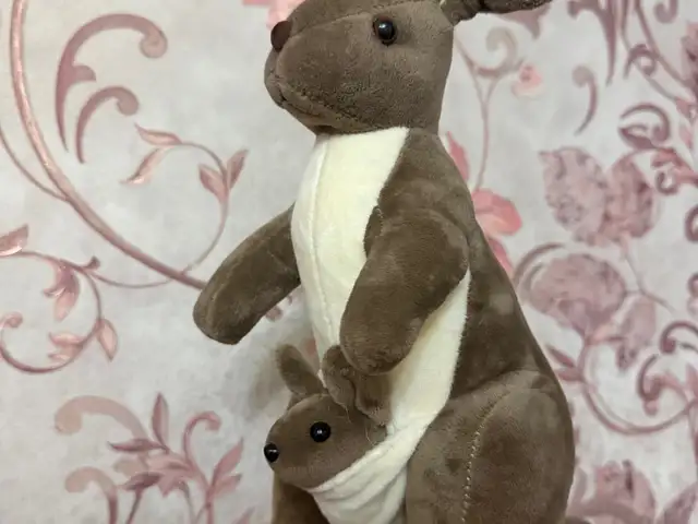 Мягкая игрушка Кенгуру, Хуҷанд
