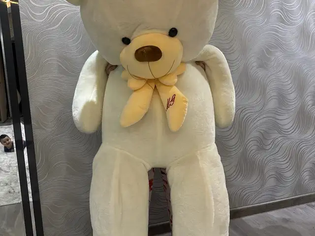 Мишка, Хуҷанд