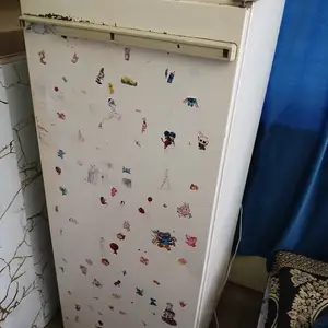 Холодильник Памир, Душанбе