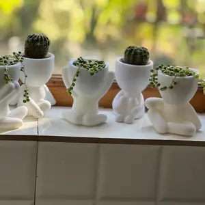 Комнатные цветы, Душанбе