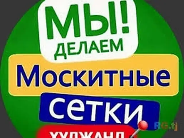 Тӯр Барои Пашша, Хуҷанд