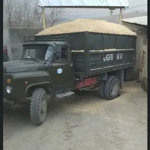 Кахи гандум, Душанбе