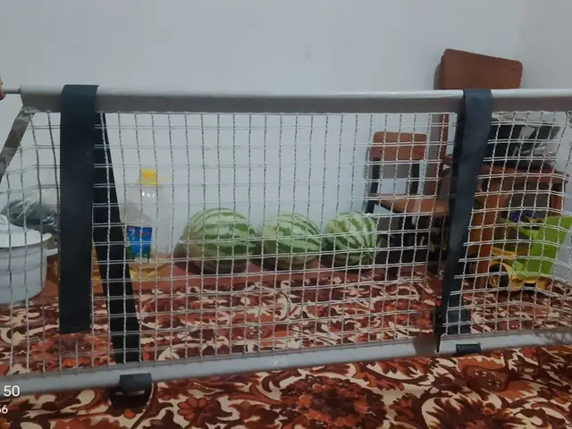 Сетка для салона, Хуҷанд