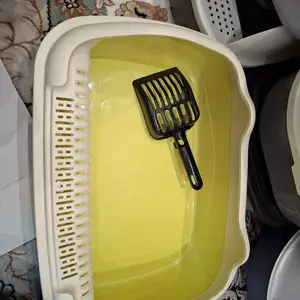 Латок для кошек, Худжанд