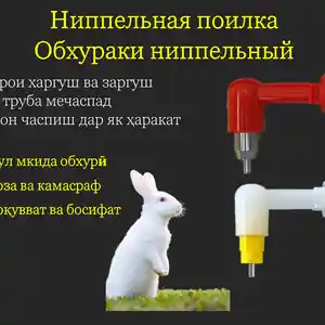 Обхурак/Ниппельная поилка, Душанбе