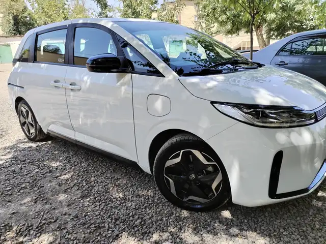 BYD D1