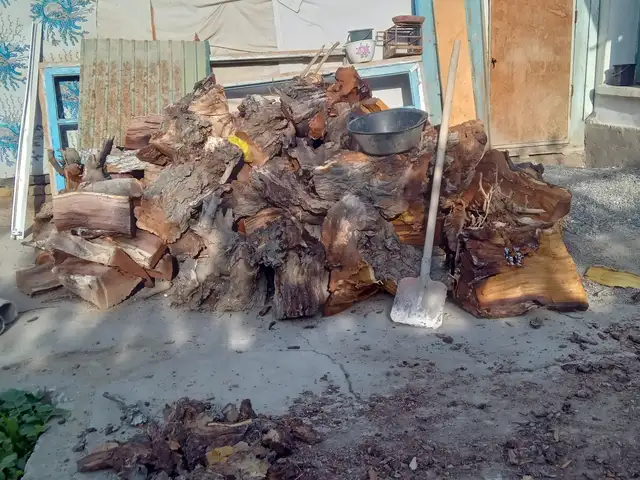 Дрова, Хуҷанд