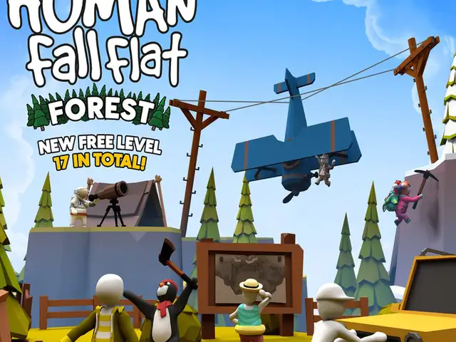 Игра Human fall flat для PS5 // 10.01-12.00 //, Душанбе