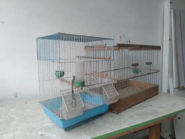 Клетка для птиц, Худжанд